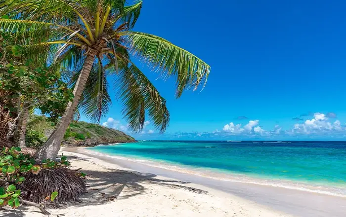 Que vous soyez à la recherche d'une escapade romantique ou de vacances familiales pleines d'aventures, chaque plage a sa propre beauté et son propre charme. Voici les 10 plus belles plages du monde.