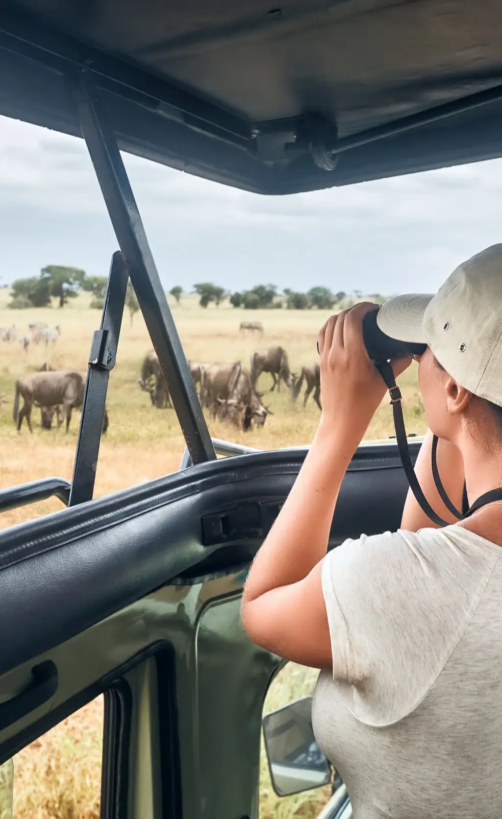 Nombreuses sont les régions où vous pouvez rencontrer des animaux sauvages. Sur cette page, vous trouverez les meilleures destinations pour les amoureux de la nature. Safaris en Tanzanie dans le cratère de N'gorongoro jusqu'au parc national d'Akan au Japon, à vous de choisir ...