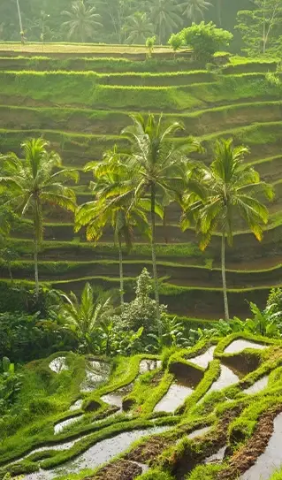 Quelle est la meilleure période pour la destination de vos rêves ? Où partir ?Nous indiquons ici les grandes tendances climatiques des pays agréables à visiter et ceux déconseillés.